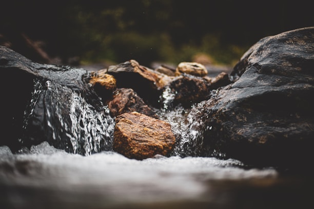 A close-up of clear water flowing gently over smooth stones in a natural stream.
