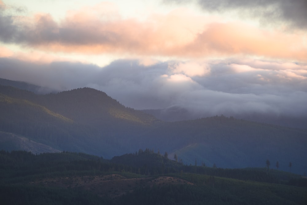 white clouds