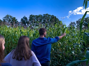 Group of farmers and agronomists discussing in a field.