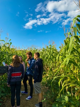 A team discussing agricultural strategies in a sunny field.