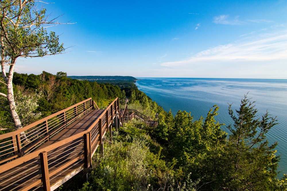 brown wooden beach dock viewing blue sea under blue and white skies during daytime