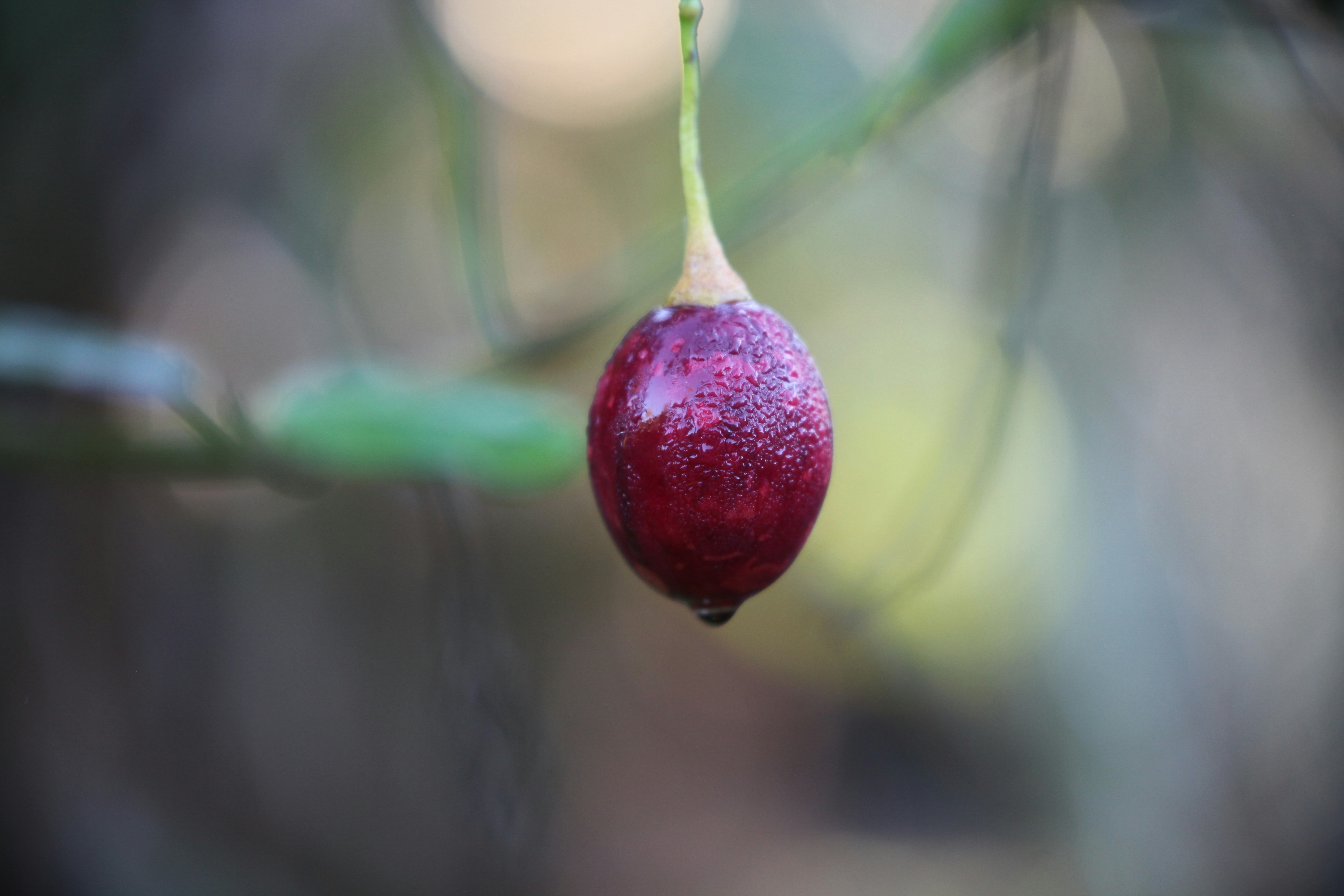 Photo by jameswarrick1