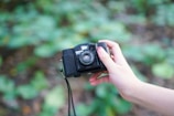 Close-up of hands holding a vintage camera with green foliage background.