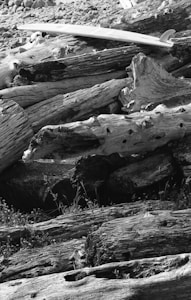 Prancha Artesanal Classic