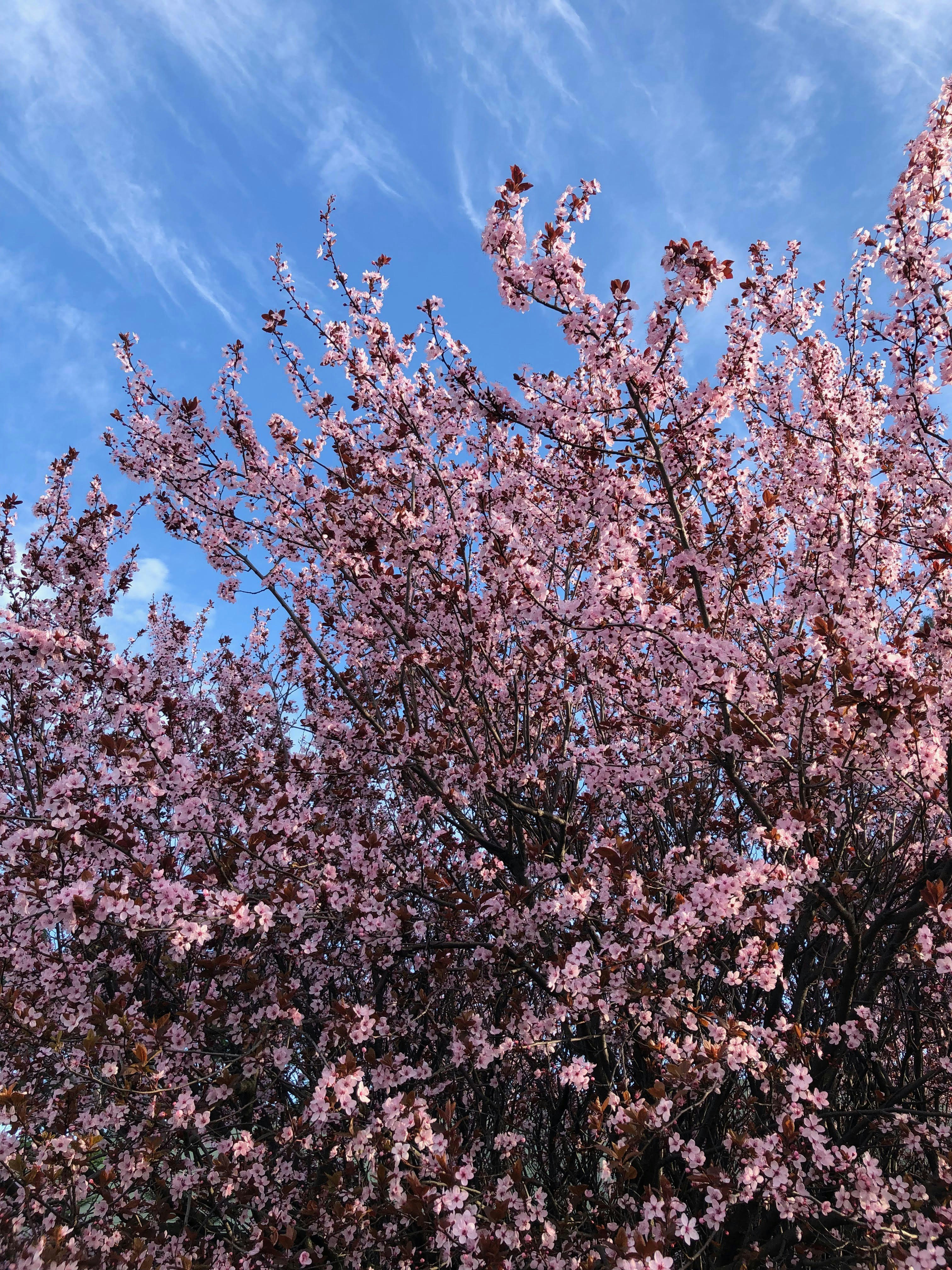 Photo by steffipereira