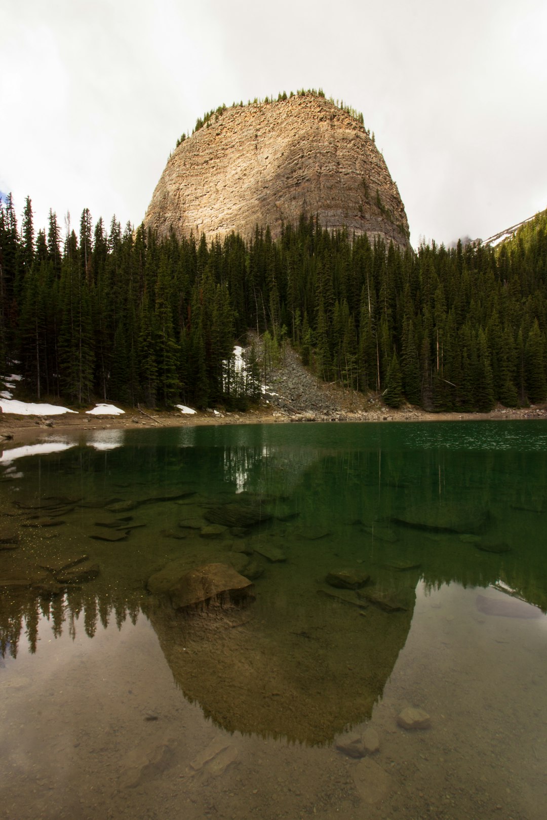 crystal clear river surrounded by pine trees