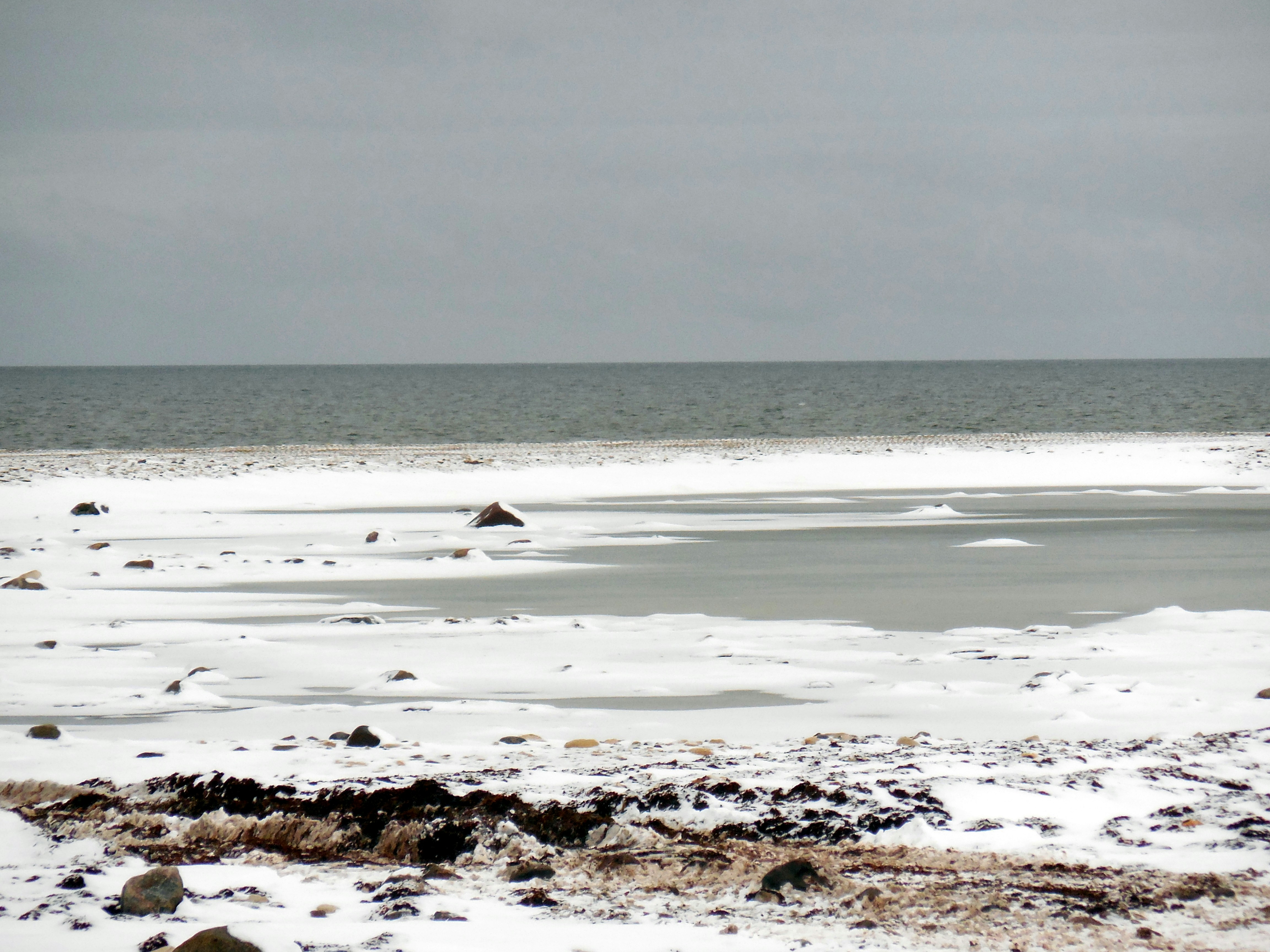 body of water under blue sky during daytime photo
