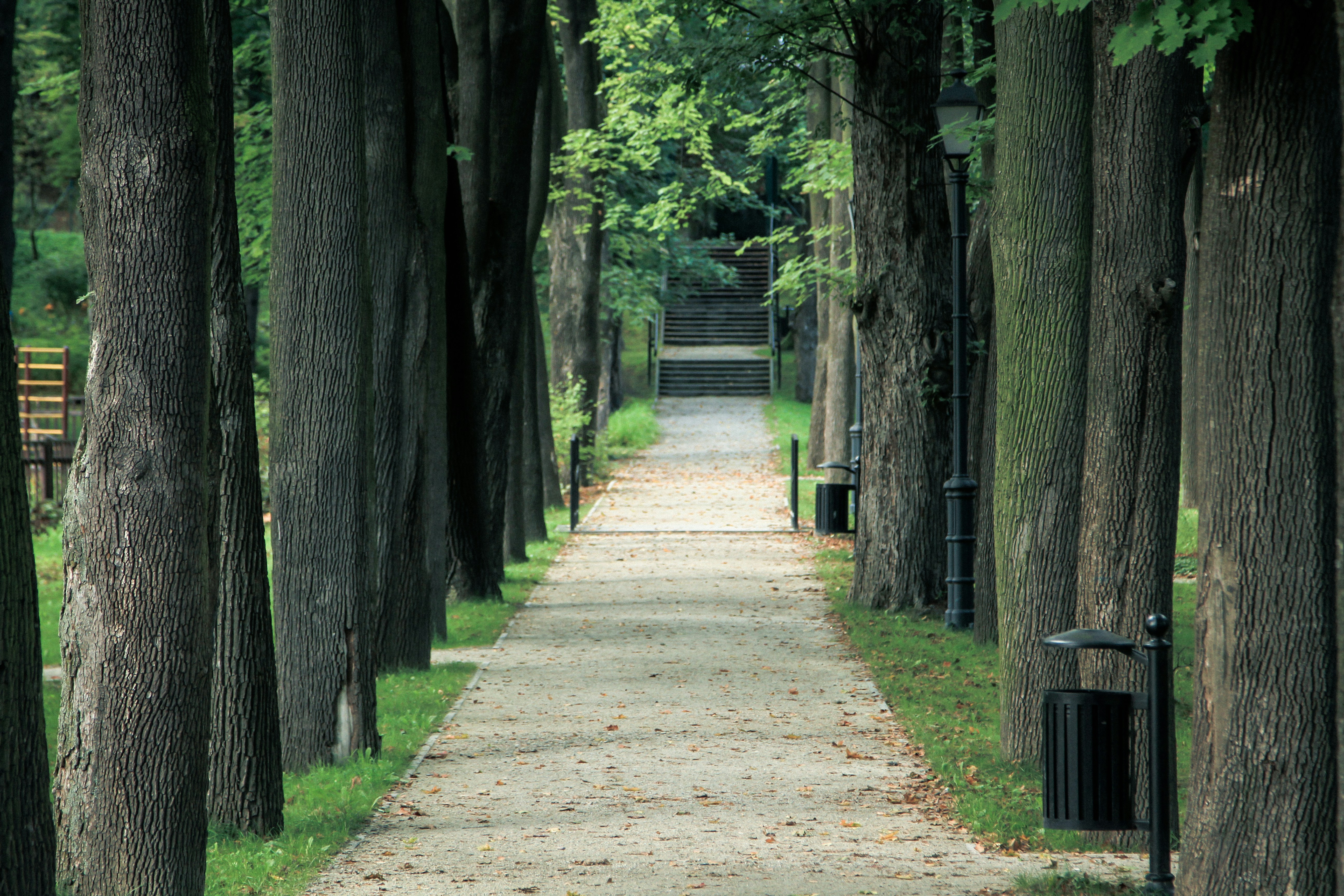 Photo by allthestars