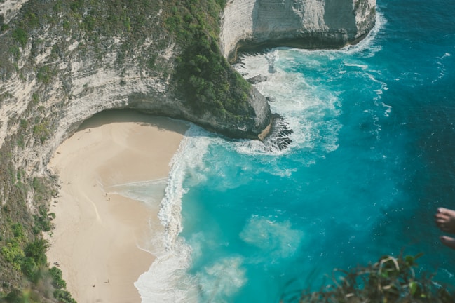 shore near body of water
