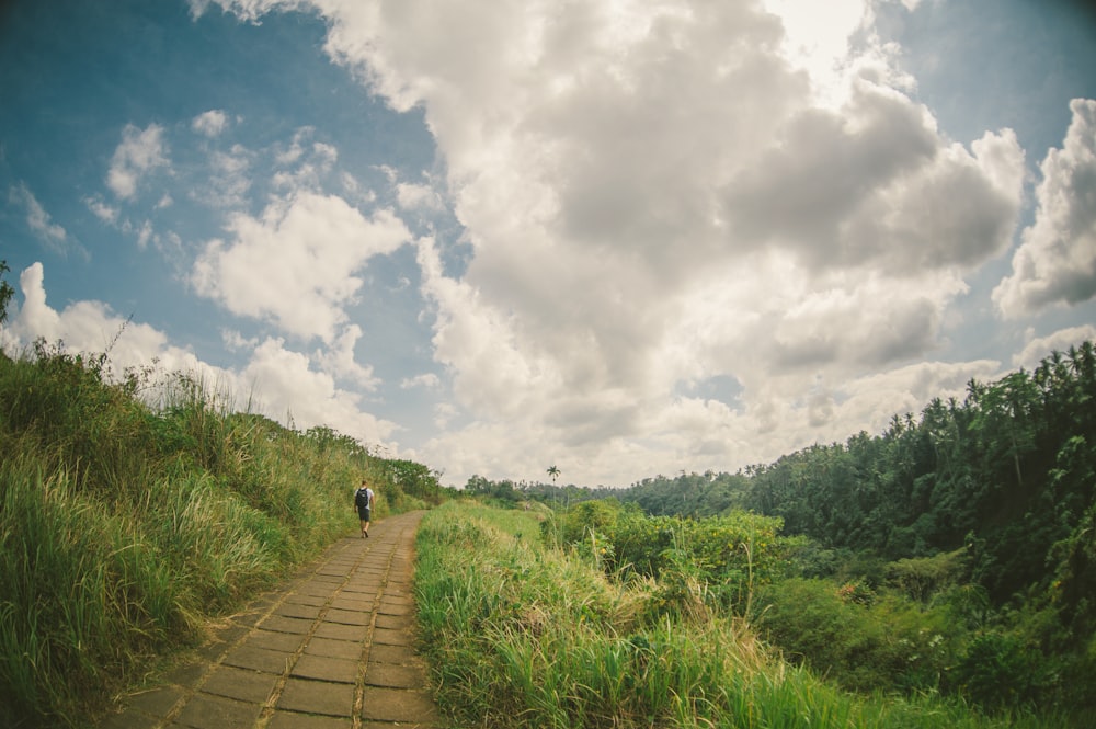 person walking on pathway during daytime