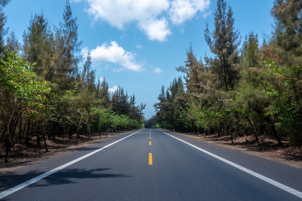 empty concrete road in between trees