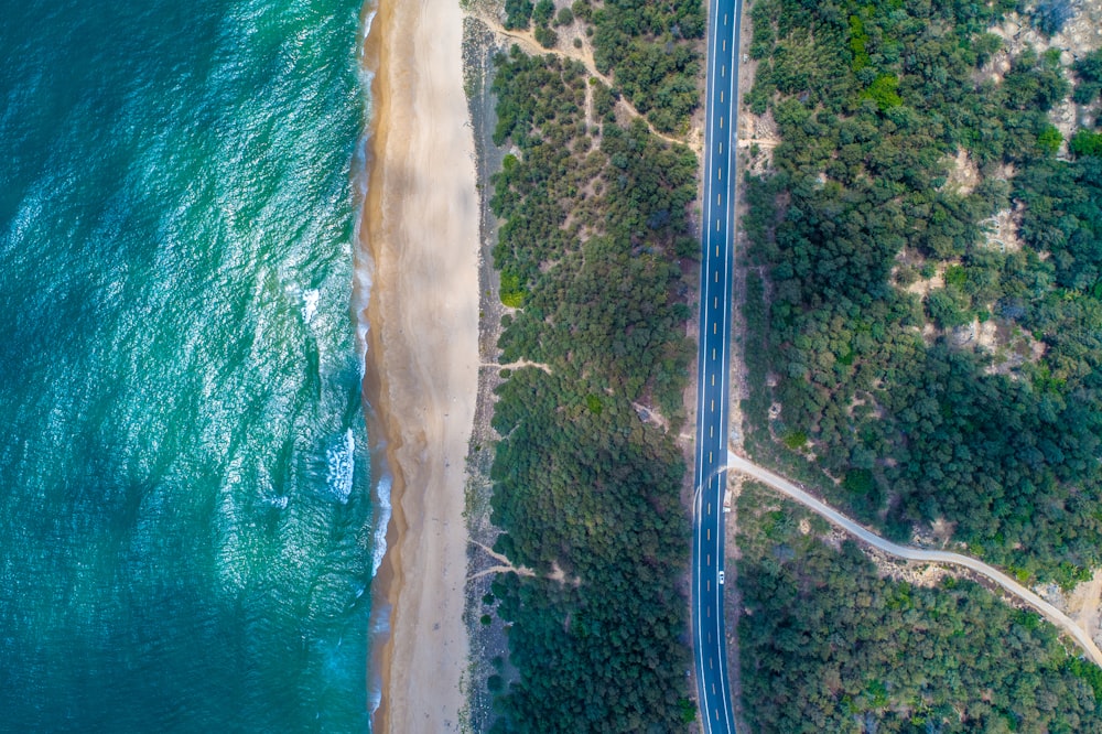 high angle photography of roadway, trees, and body of water during daytime