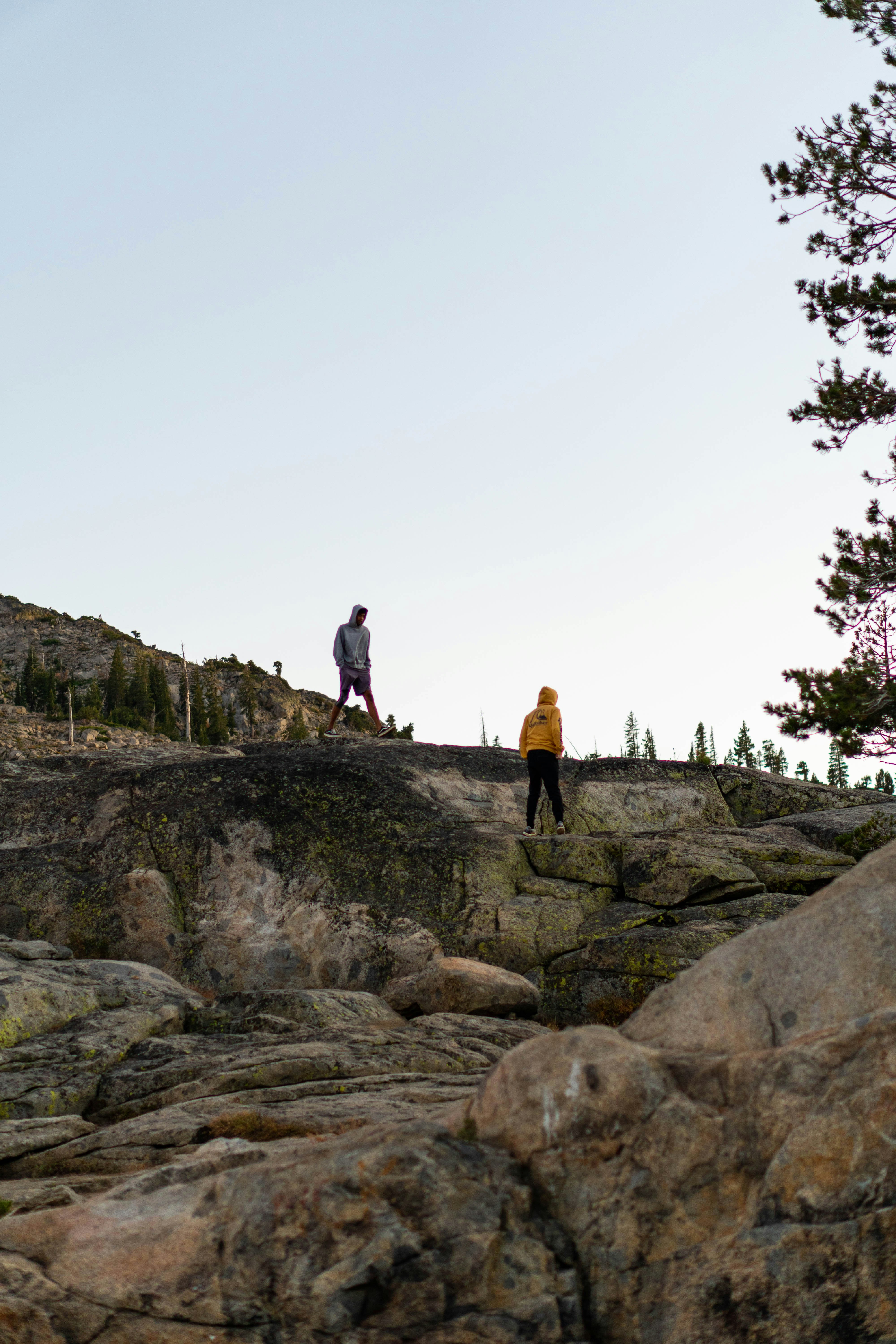persona in felpa gialla con cappuccio
