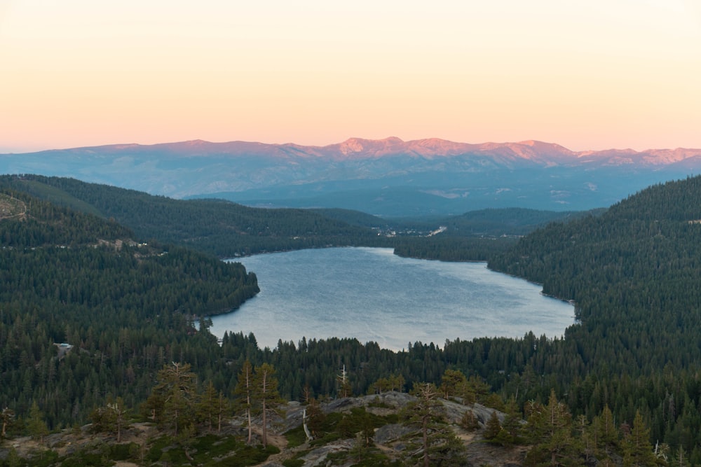 aerial photography of body of water during daytime