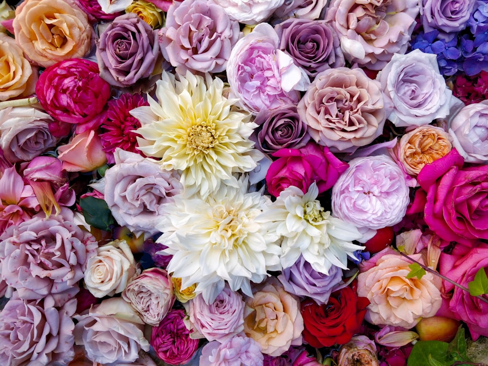 Variété de bouquet de fleurs