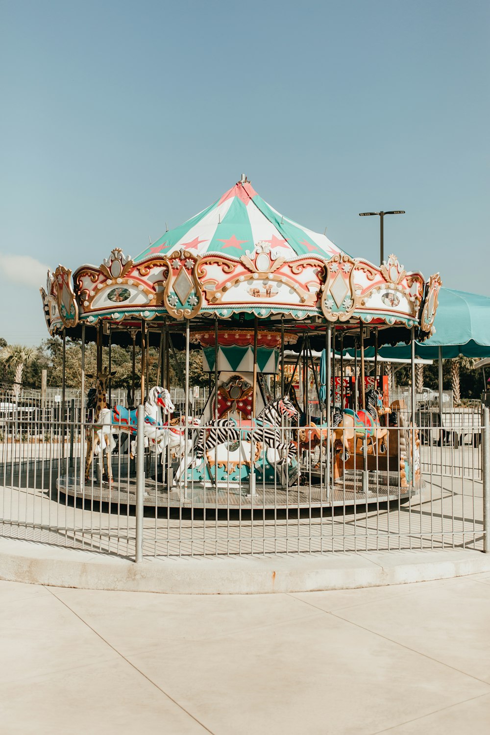 blue and white horse carousel