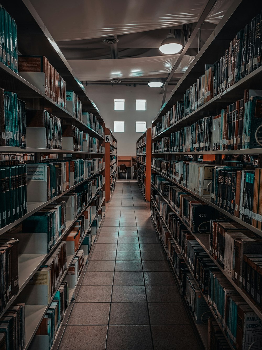 books in shelves inside library