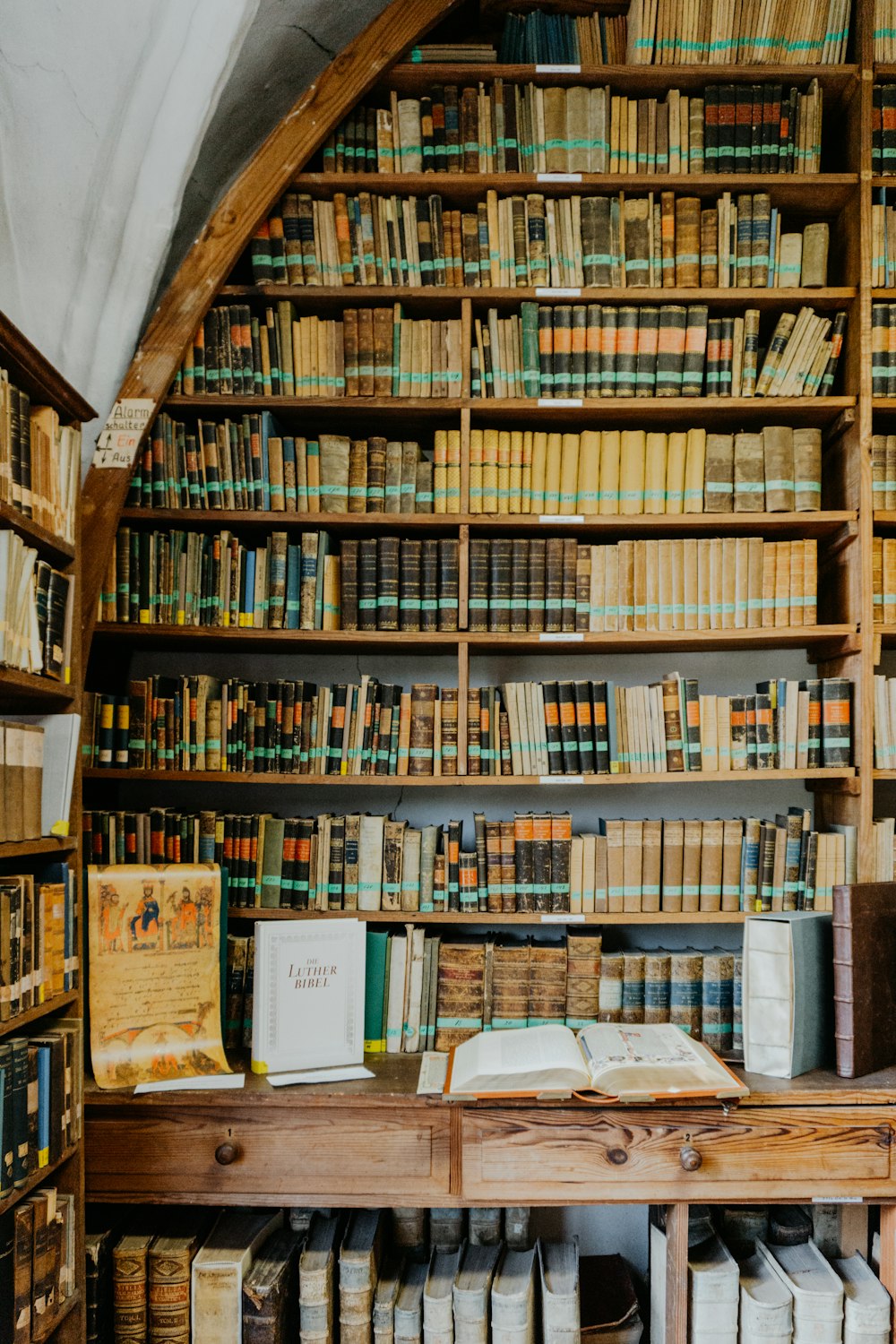 assorted books on shelves