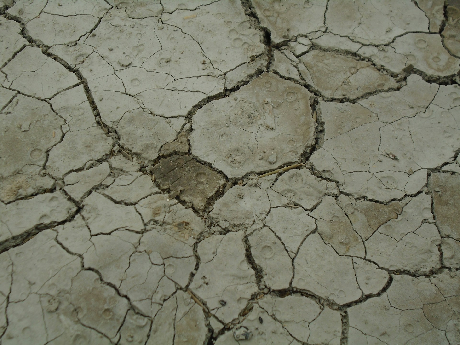 black and brown leather padded tub sofa