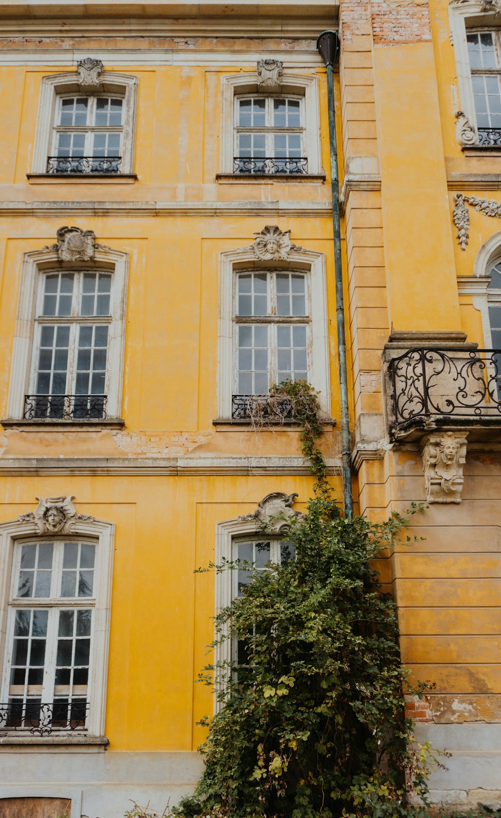 yellow and white building