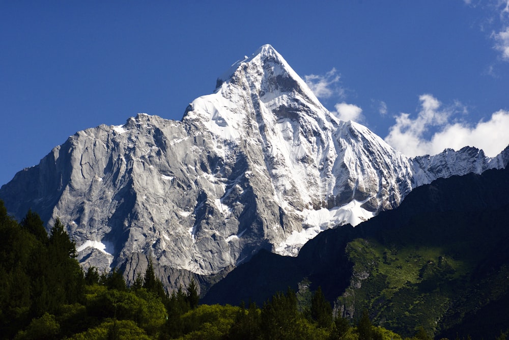 山脈のローアングル写真