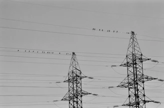 silhouette photo of transmission network