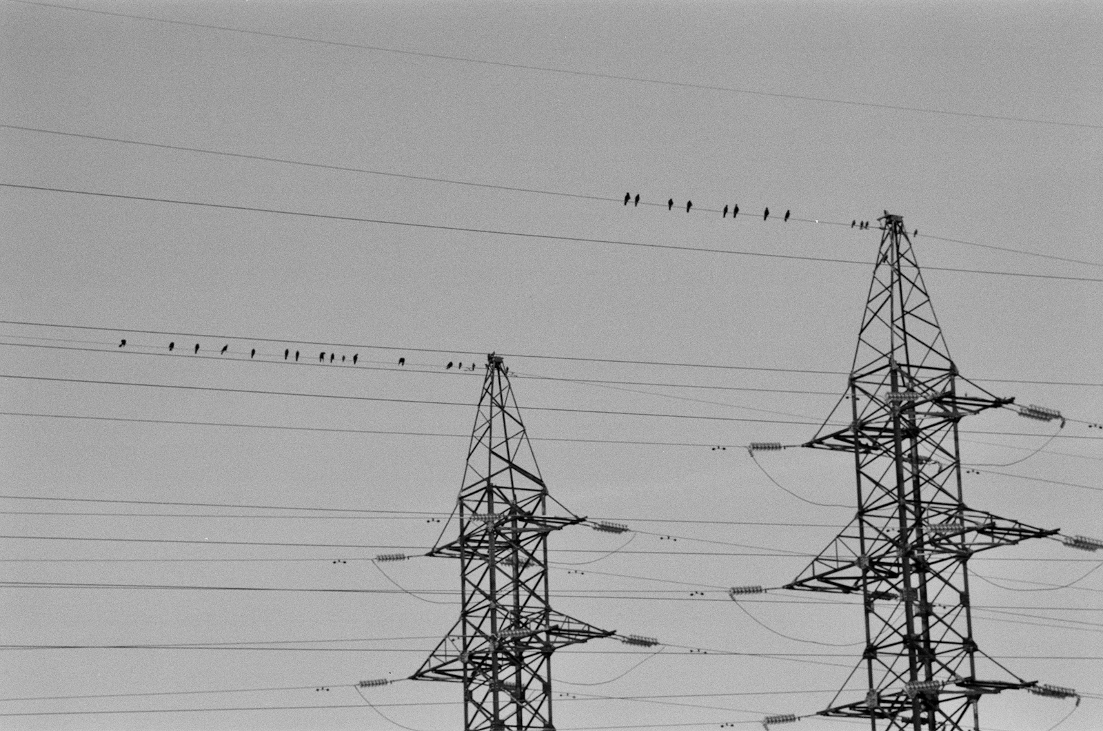 Utilities & Infrastructure