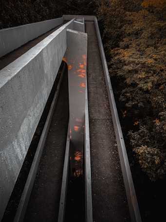 A long, narrow concrete bridge surrounded by dense foliage. The bridge seems to be designed for pedestrian use and has a reflective surface in the middle, capturing the colors of a sunset or dawn. The trees around the bridge have an autumnal appearance, with shades of orange and brown.