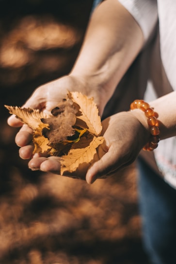 Close-up of hands wearing cozyclasp wool blend gloves against a crisp autumn background.