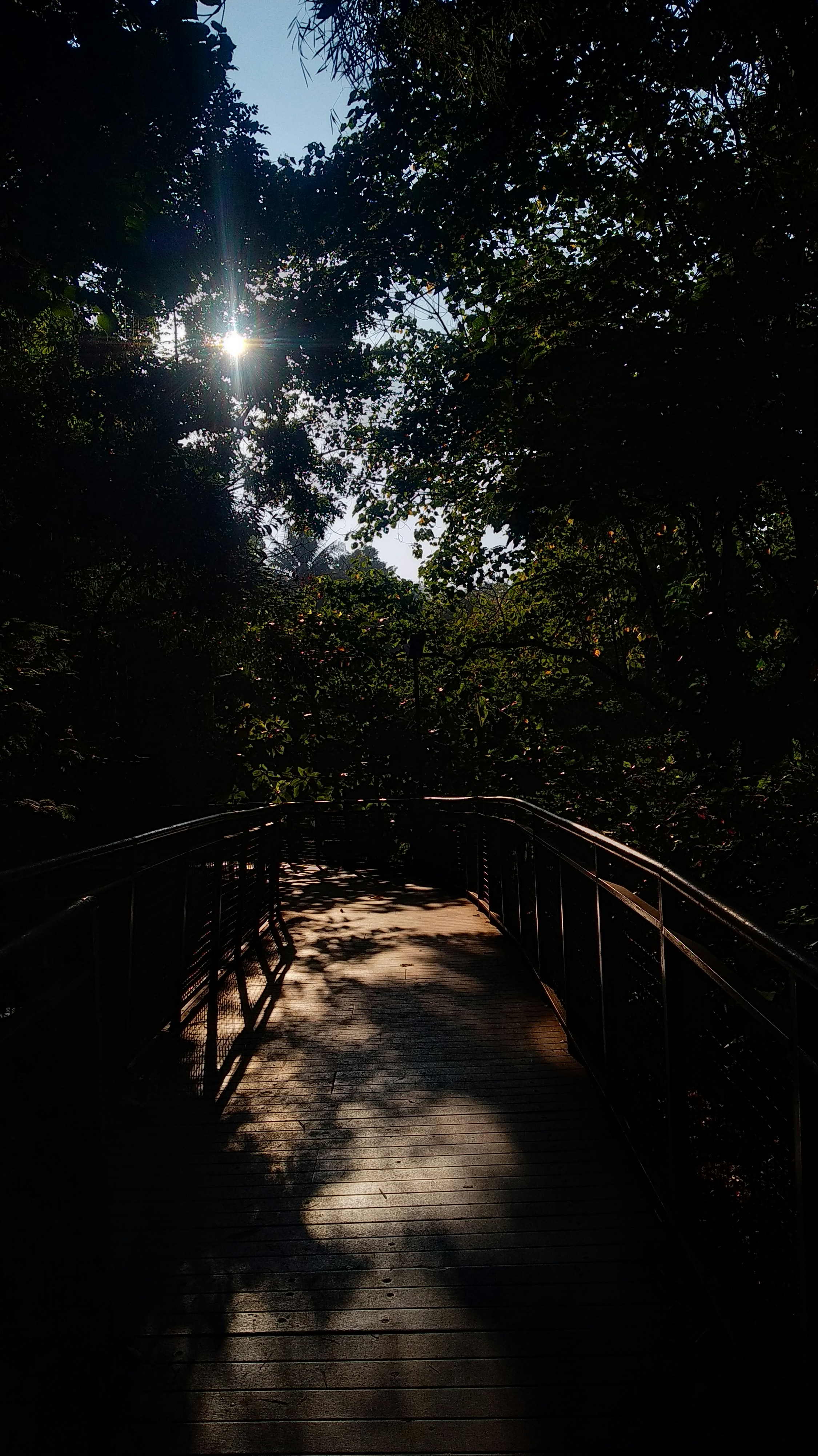 Photo by dlistyaningrum