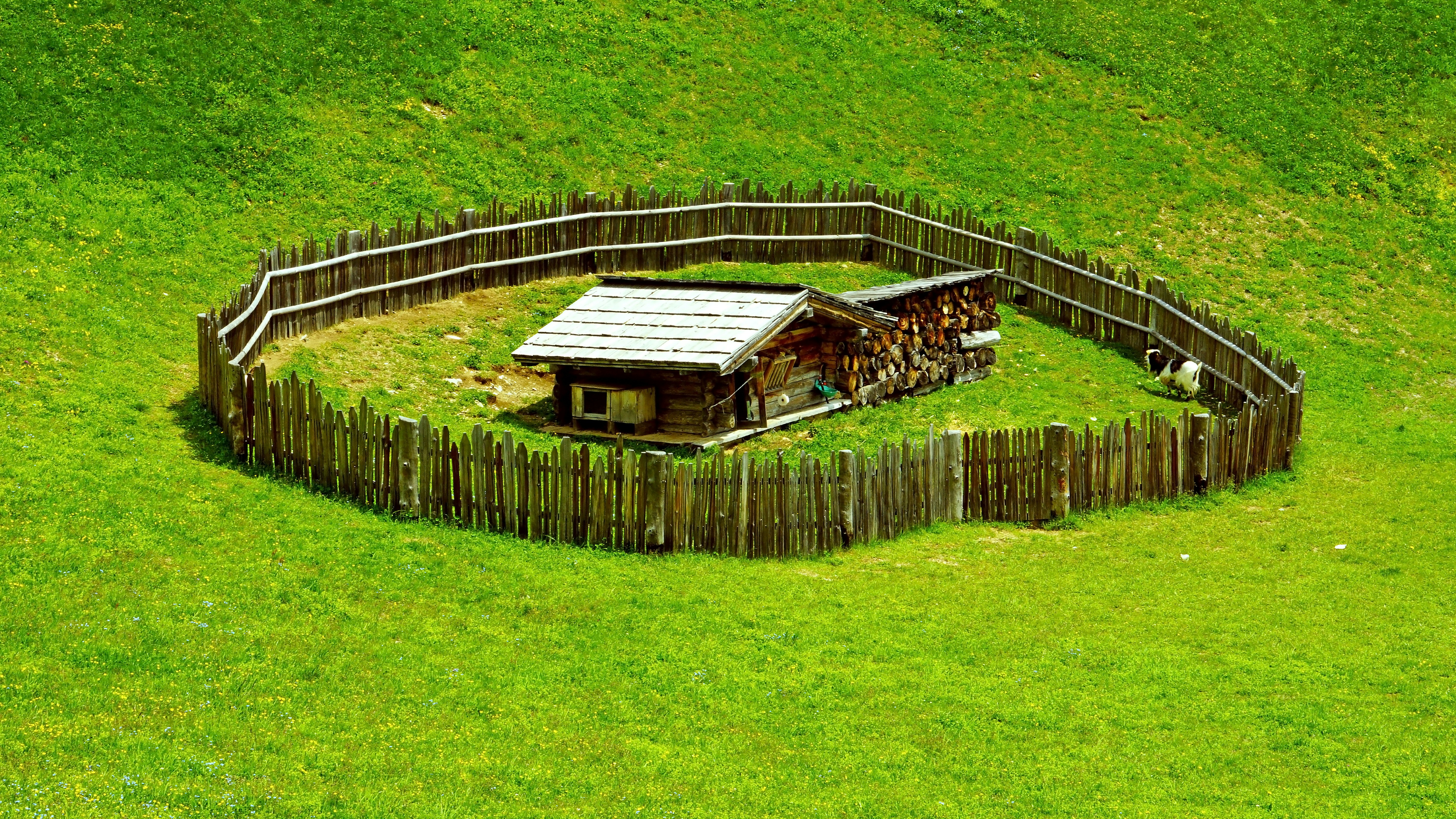 Aerial photo of wooden house at middle of grass field photo – Free ...