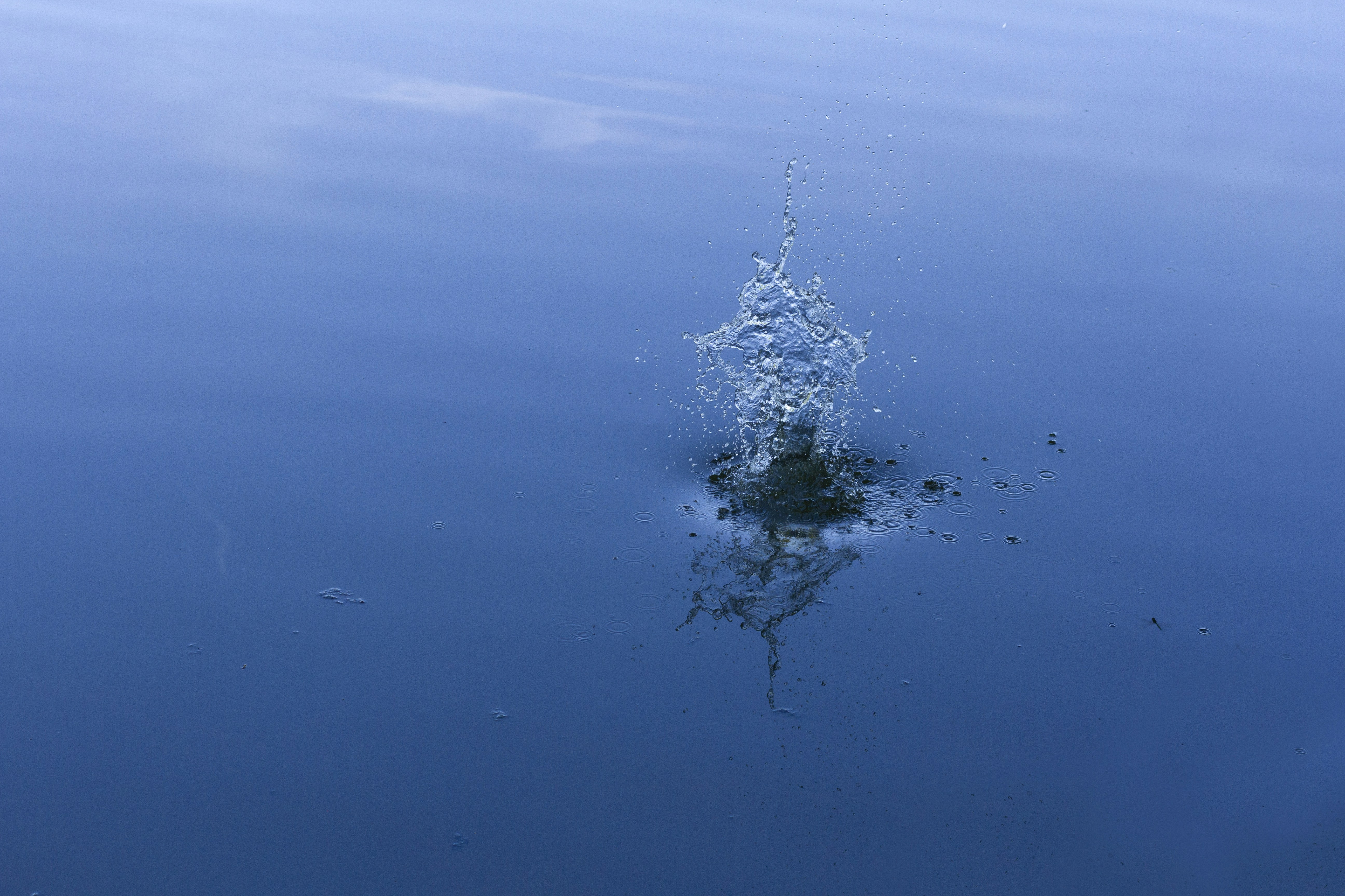 Reflexer med tryck – profilprodukten som både syns och räddar liv, flaggspel, vimpelspel, bunting, Handburgareflaggor, Cocktailflaggor, Tandpetarflaggor, fasadflagga, kioskflagga, trottoarpratare, Globalt Mål, Globala Mål, Globalt mål, globala målen kub, displaykub tryck, globala målen tryck kub, globalt mål tryck, skummkub, Saccosäck, eventmöbler, saccosäck, beanbag, mässbord, broschyrställ, rollup, Banderoll, öletiketter, vinetiketter, Banderoller, mässväggar, mässmonter, mässmontrar, beachflaggor, Expo, Print, Förpackningar, Etiketter, tryck, giveaways, öletiketter, etiketter, reklamprodukter, banderoller, dekal, dekaler, mässmontrar, profilkläder med tryck, reklamprodukter, giveaways, företagsprofilering, USB med tryck, kepsar med tryck, t-shirts med tryck, reflexer, isskrapor med tryck, beachflaggor, vattenflaskor med tryck, eventtält, tygvepor, broschyrhållare, arbetskläder med tryck, paraplyer med tryck, pennor med tryck, storformatsprint, flyers, dekaler, fönsterfolie, forex, hyllvippor, broschyrer, etiketter, öletiketter, produktetiketter, vinetiketter, livsmedelsetiketter, reklamkläder, reklamtryck, tryckeri, trycksaker, reklamartiklar, tryckta produkter, storformat, exponeringsmaterial, digitaltryck, rollups med tryck, tryckta banderoller, mässmaterial, expomaterial, profilreklam, varumärkesprofilering, mässväggar, takdisplayer, expo tryck, print tryck, displaymaterial, reklamflaggor, flaggor med tryck, mobil mässmonter, tryckt marknadsföring, textiltryck, kundgåvor, logotyptryck, specialtryck, ExpoTryck, expotryck.se, rollups, banderoller, eventmöbler, eventstol, eventtält, vepor, vepa, flaggor, flagga, reklamflagga, logotypflagga, företagsflagga, företagsflaggor, distplayställ, takdisplay, beachflagga, beachflaggor, bas, markfäste, vinylbanderoll, meshbanderoll, banderoll, pvc banderoll, takdisplay, displaykub, kub med tryck, display kub, displayskylt, displayställ, informationsskylt, windtracker, windtracker flagga, hög flagga, windtracker system, windtracker-kit, windtrackerkit, windtrackersystem, snäppram, trappa snäppram, snäppramlist, displayskyltar, displayställ, butik, forex, forexskylt, dörrhängare, dörr hängare, etiketter, etiketter på rulle, trycka etiketter,