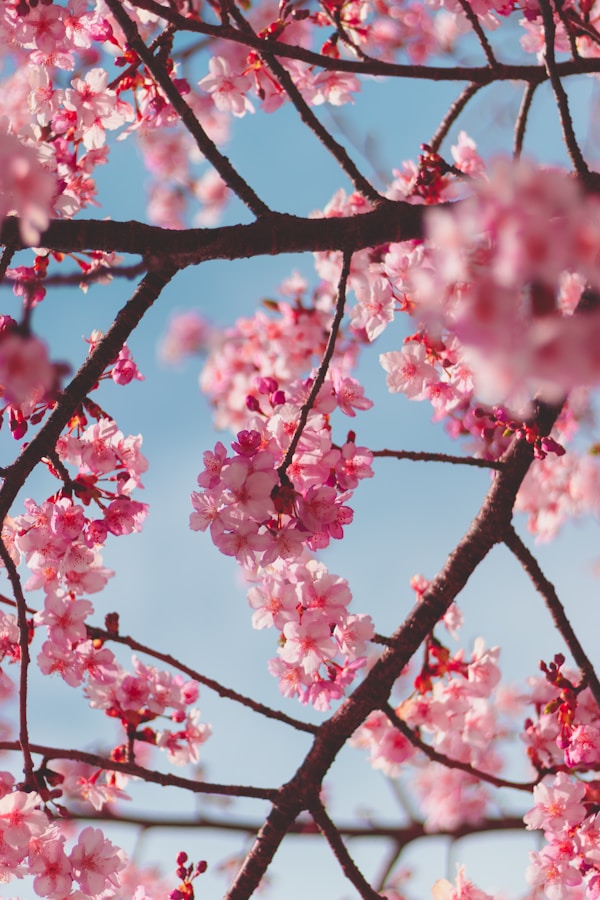 Discover Kinugawa: A Serene Escape in Japan