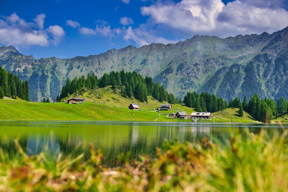 lake surrounded by grass fields and village