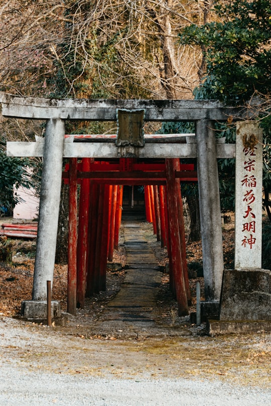 brown and red posts at daytime in Kinugawa Onsen Japan