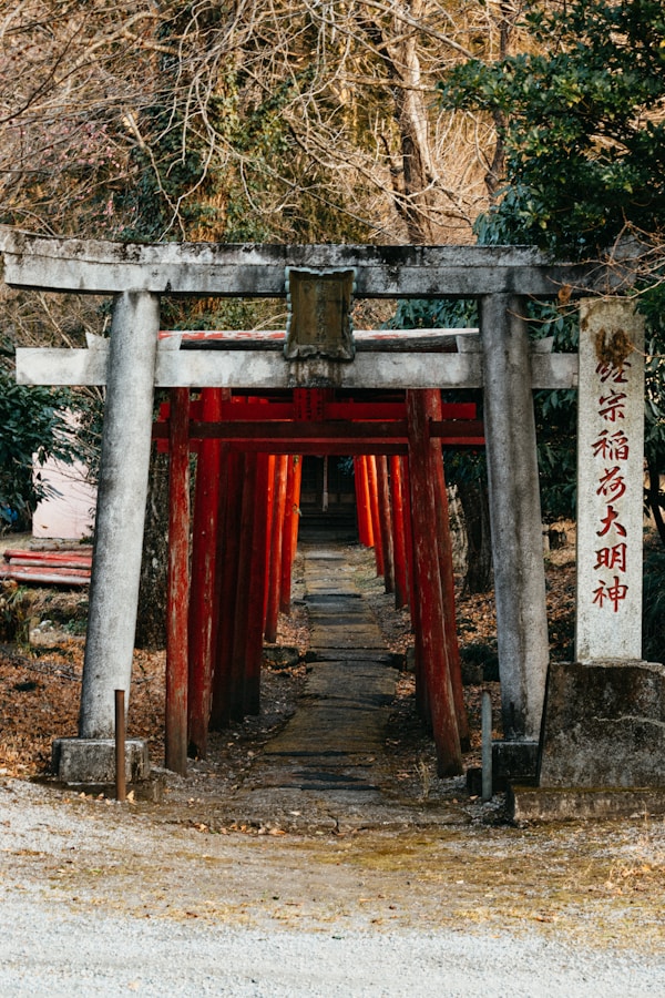 Exploring Kinugawa's Authentic Cuisine