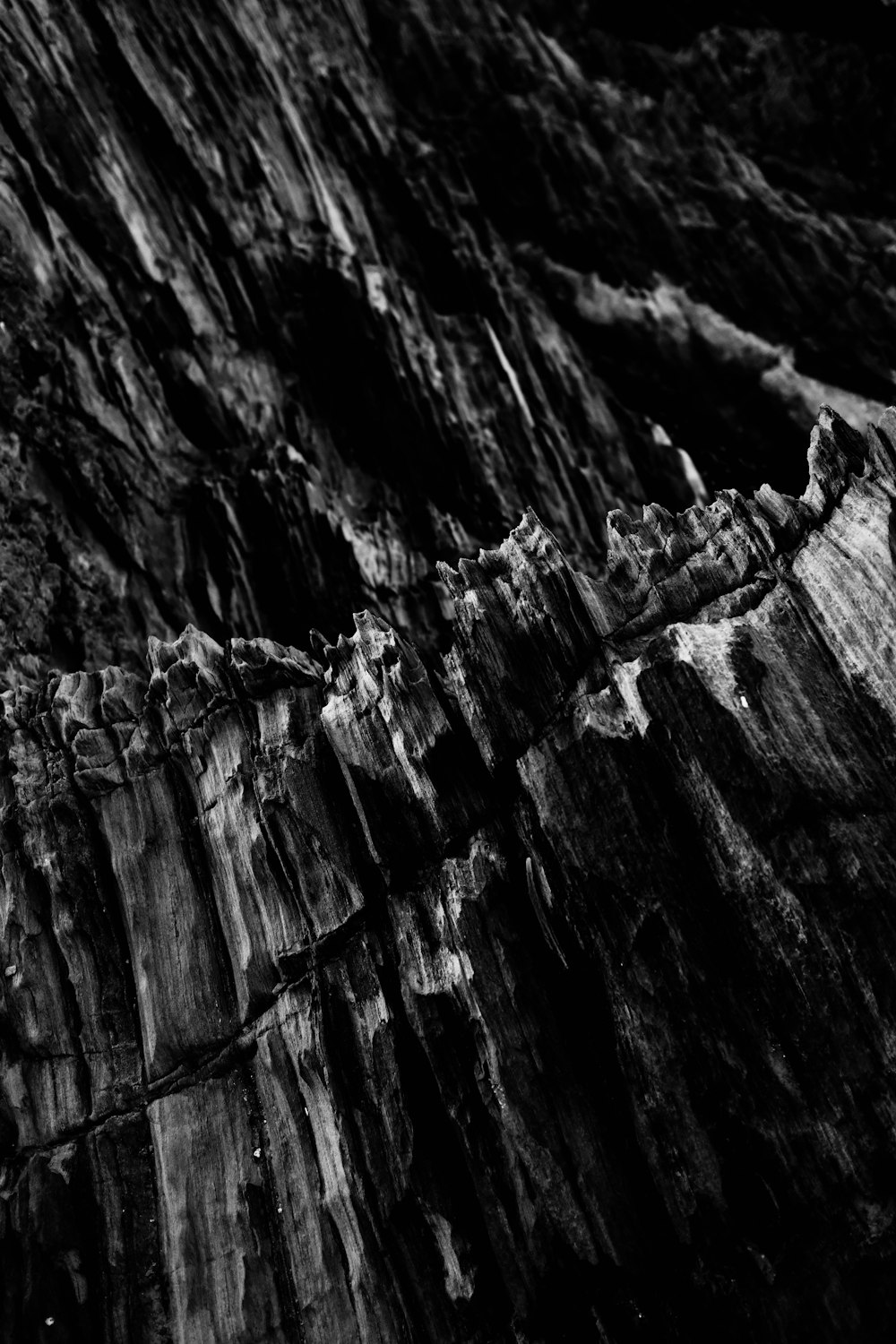 a black and white photo of a rock face