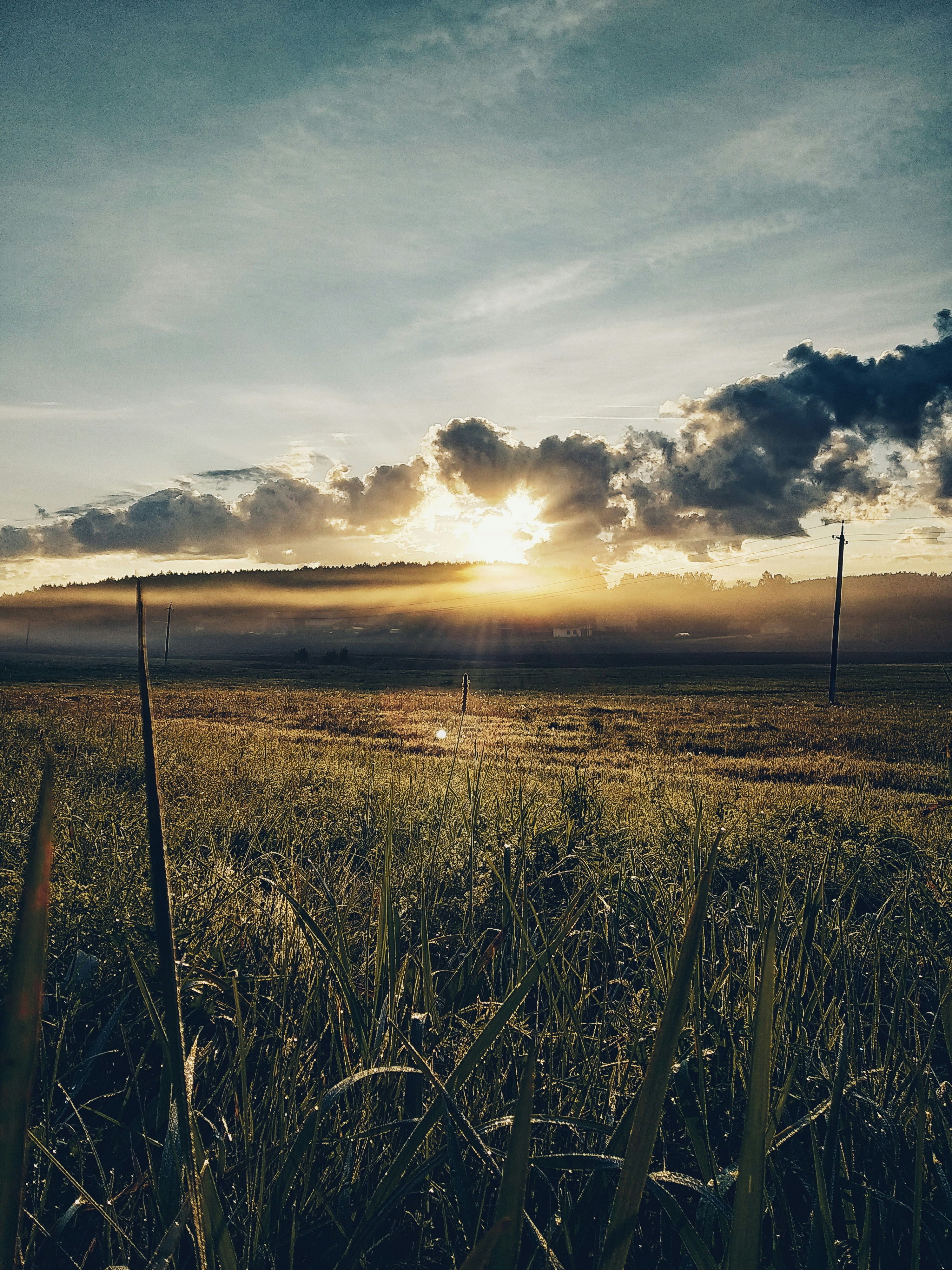Tanah Datar Dekat Jalan Raya, Boyolali