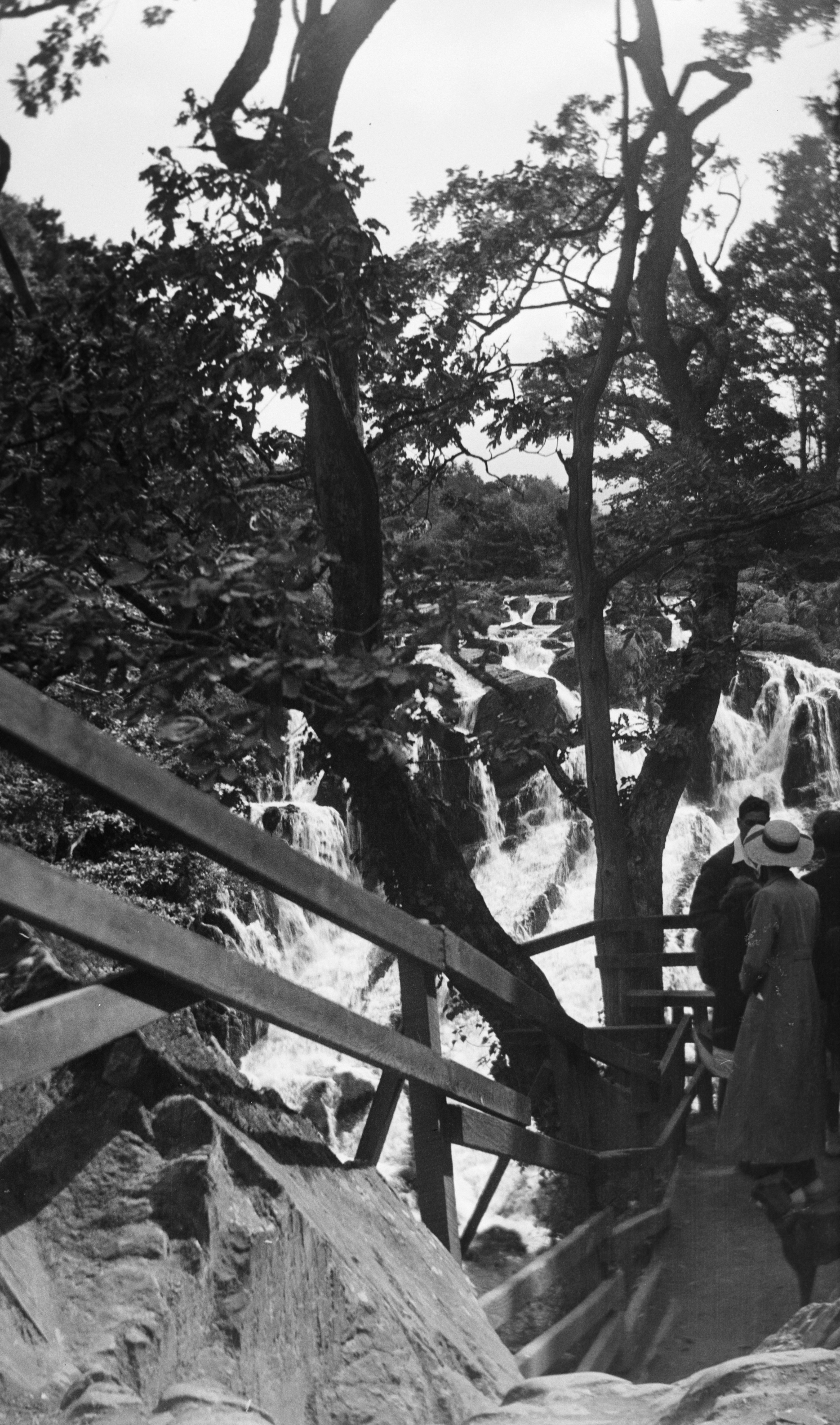 Photo by anniespratt