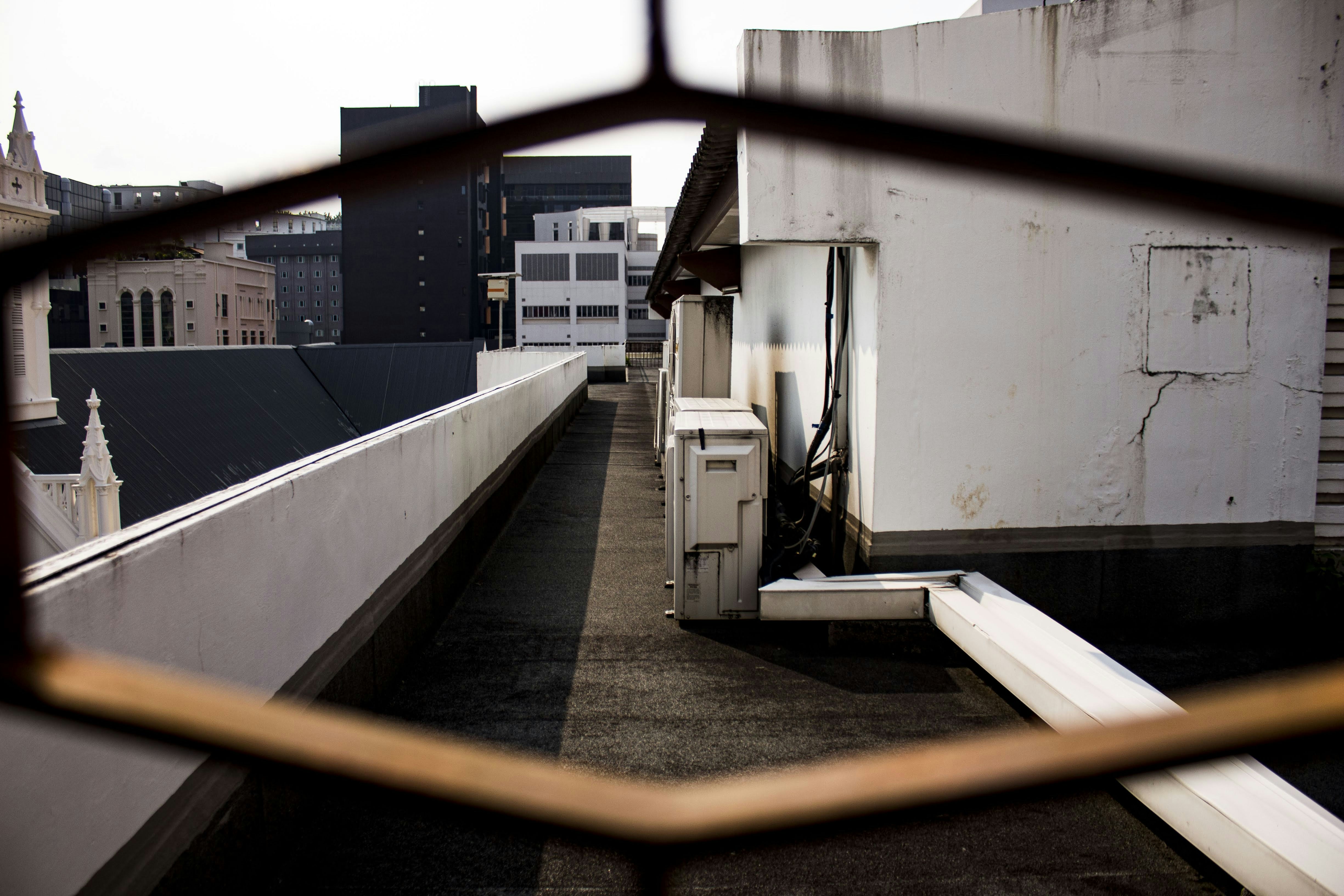 Photo by w0ketigers