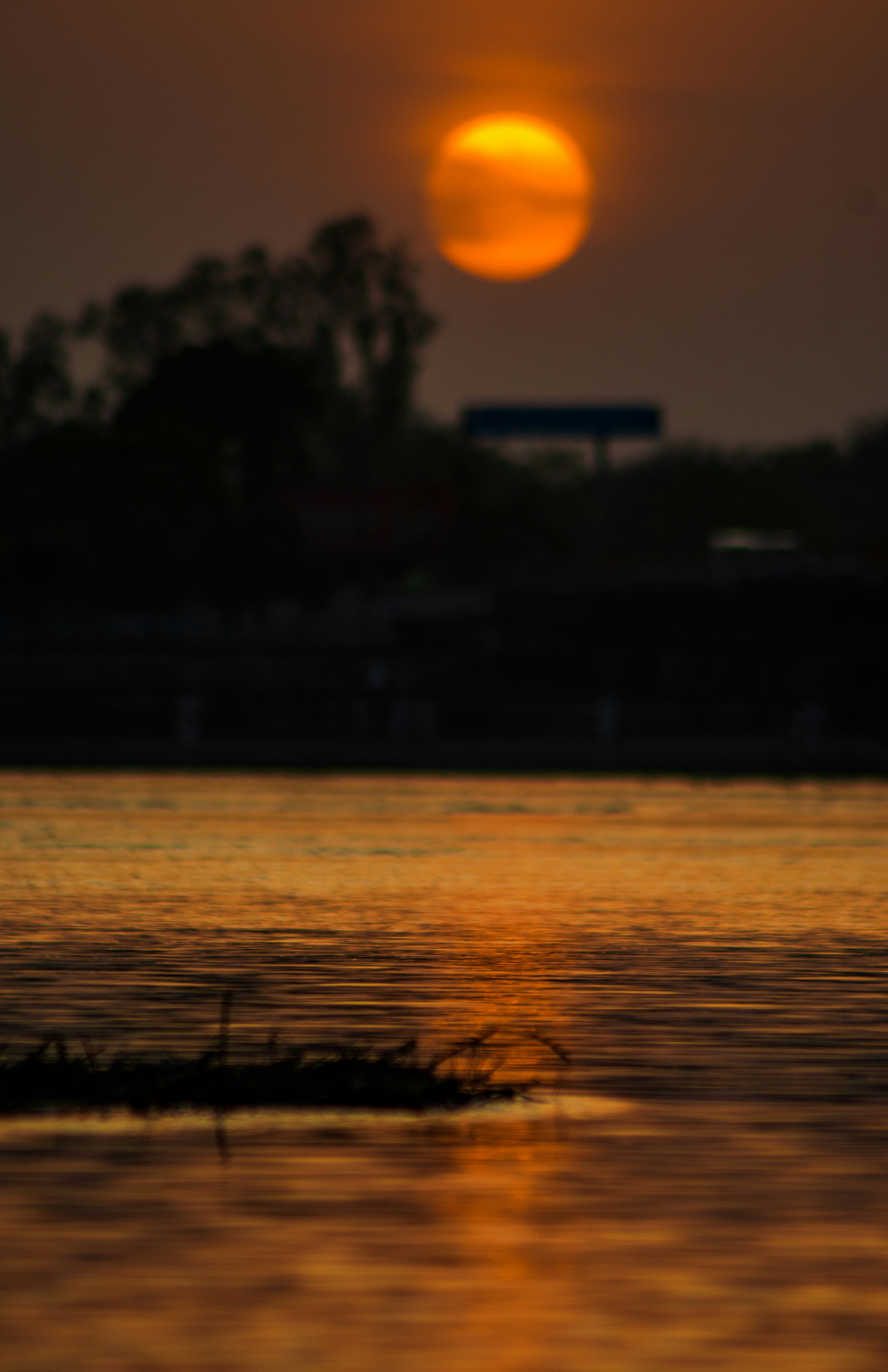 Photo by shashishankarghosh