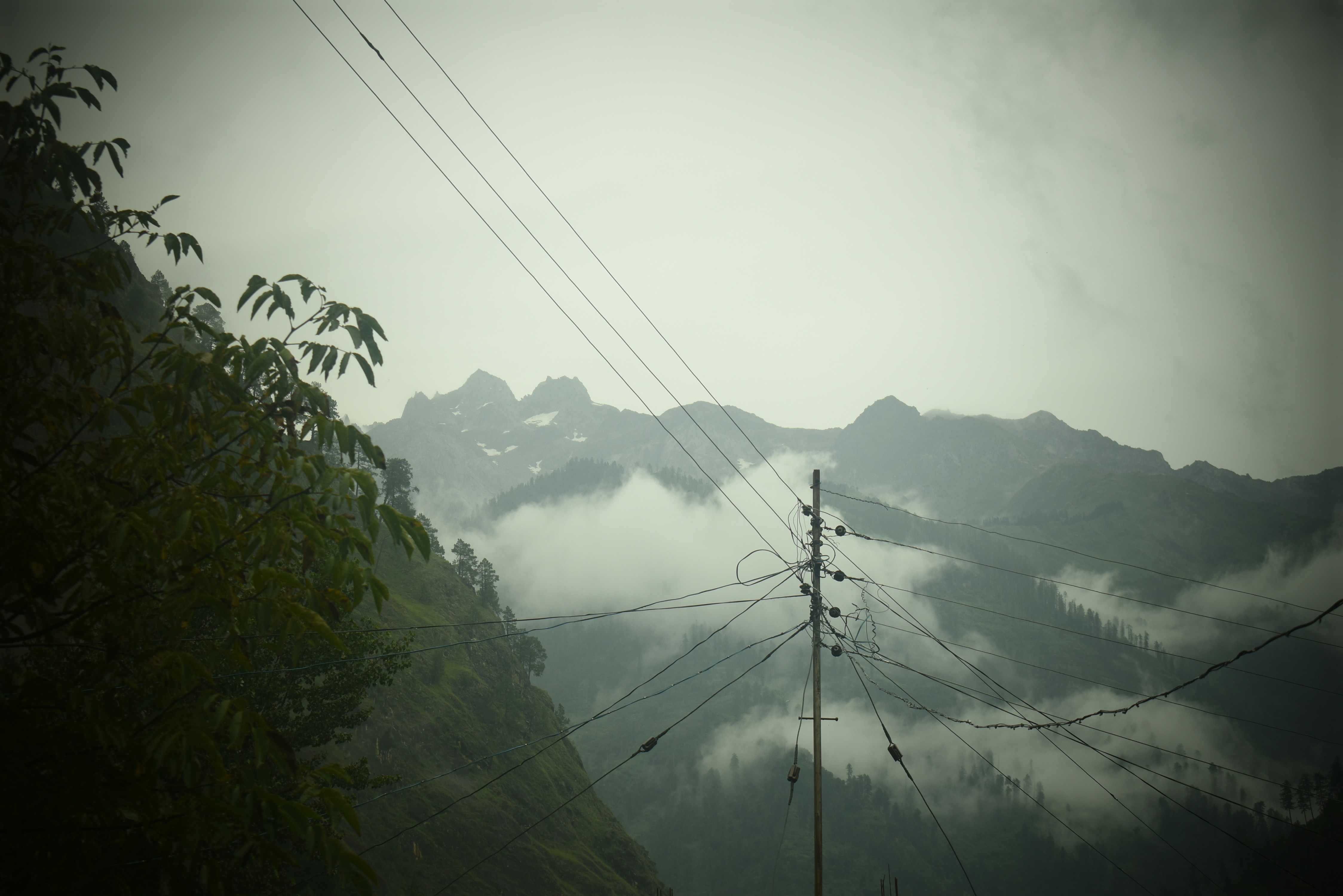 Photo by shubhgatsby