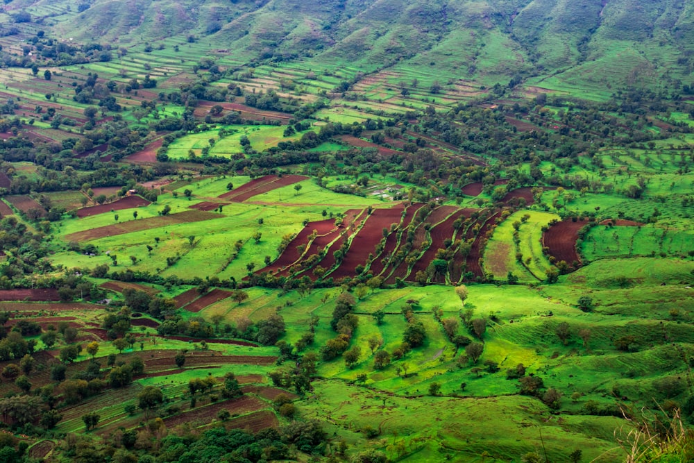 aerial view of trees and hills
