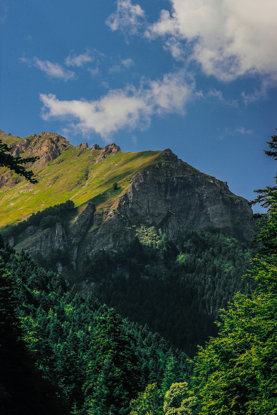 travelers stories about Mountain in Šar Mountains, North Macedonia