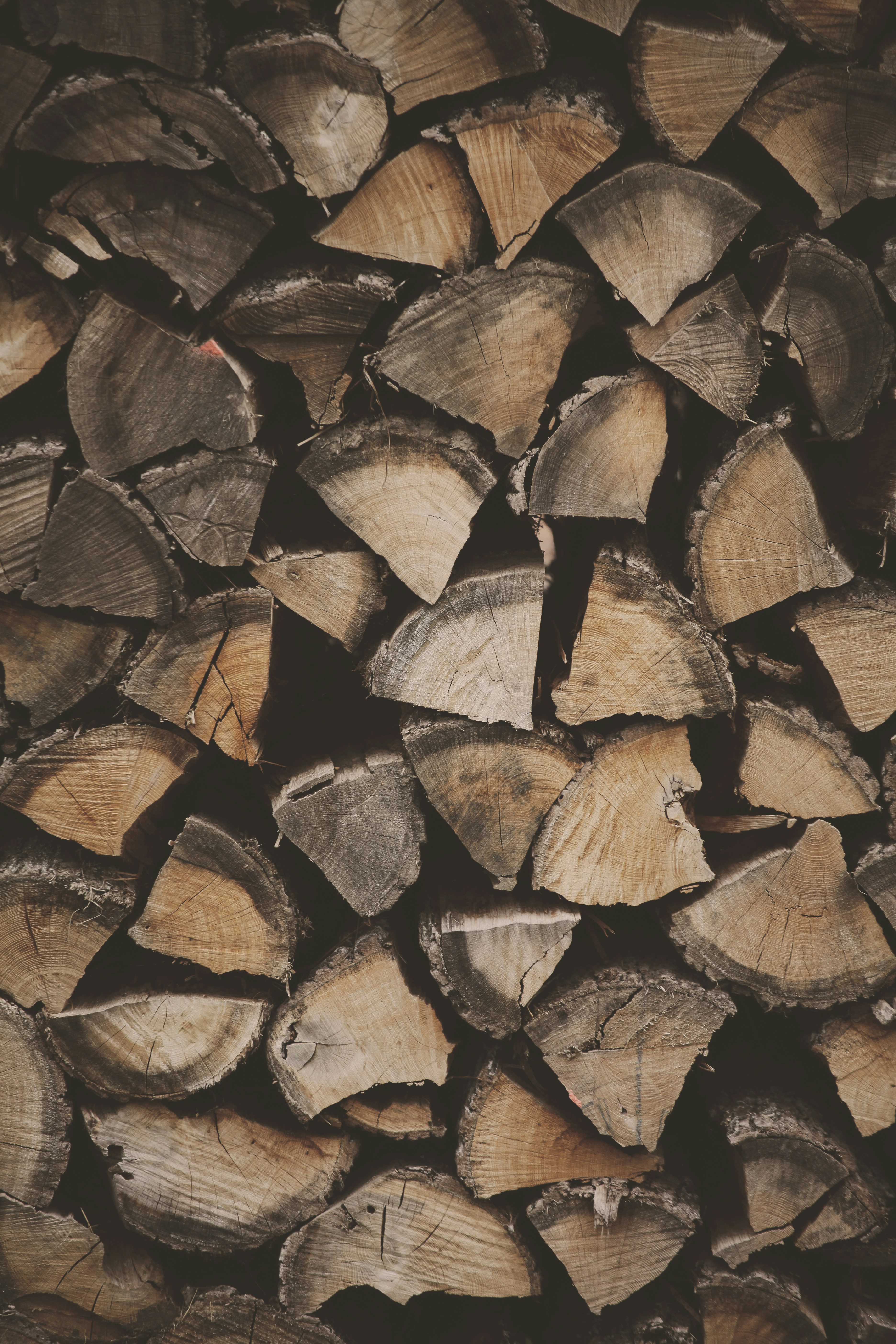 Photo by quadratmedia