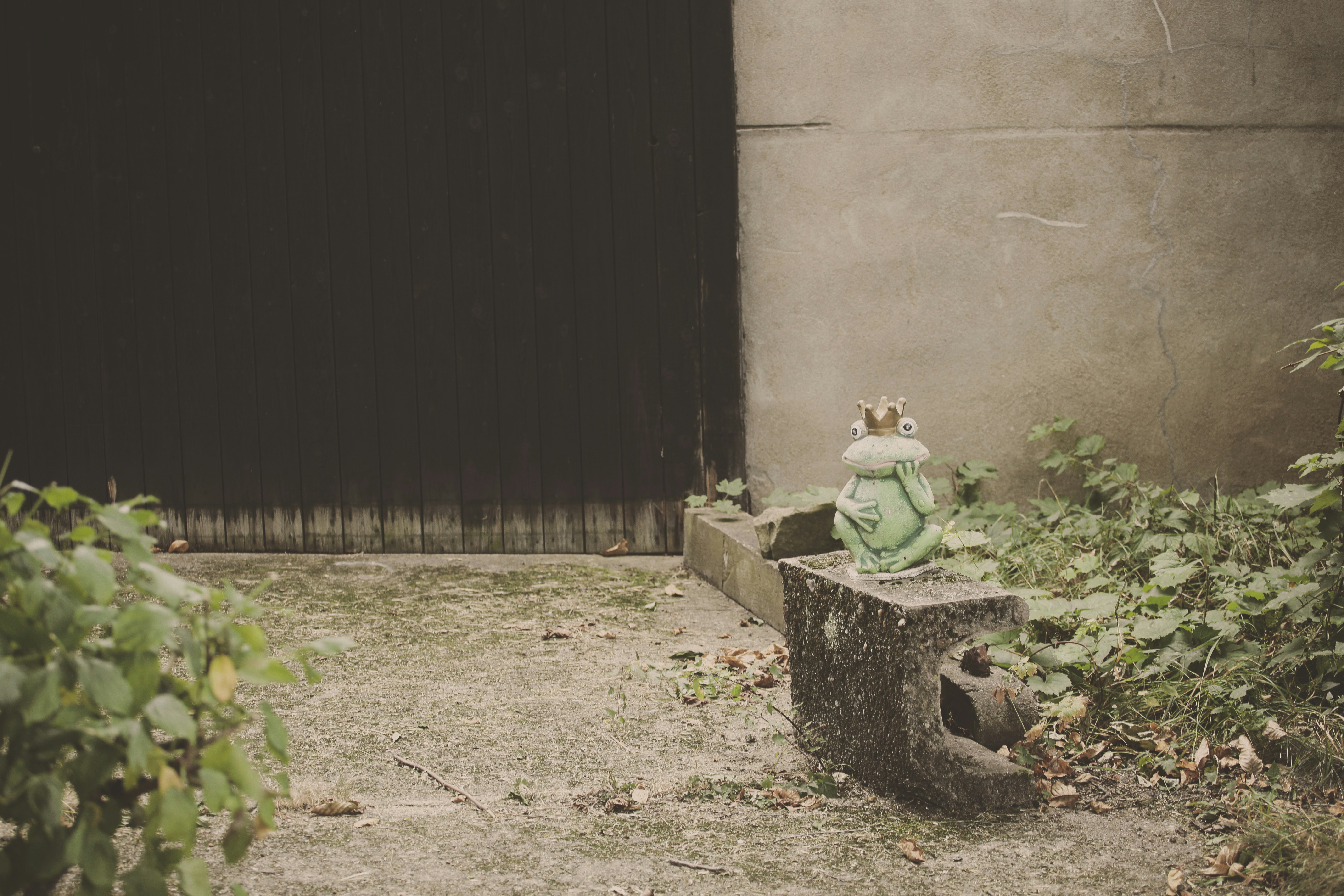 Photo by quadratmedia