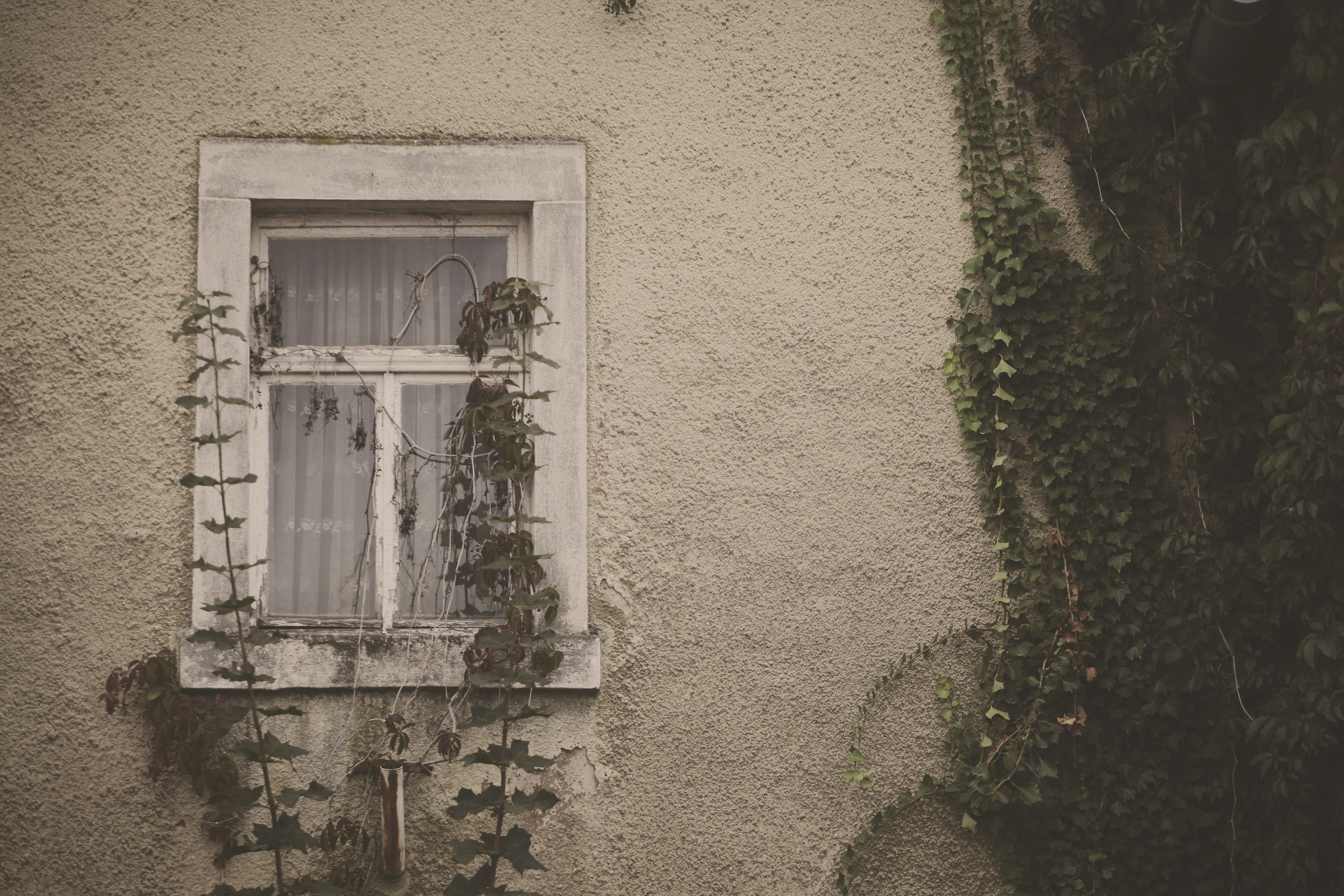 Photo by quadratmedia