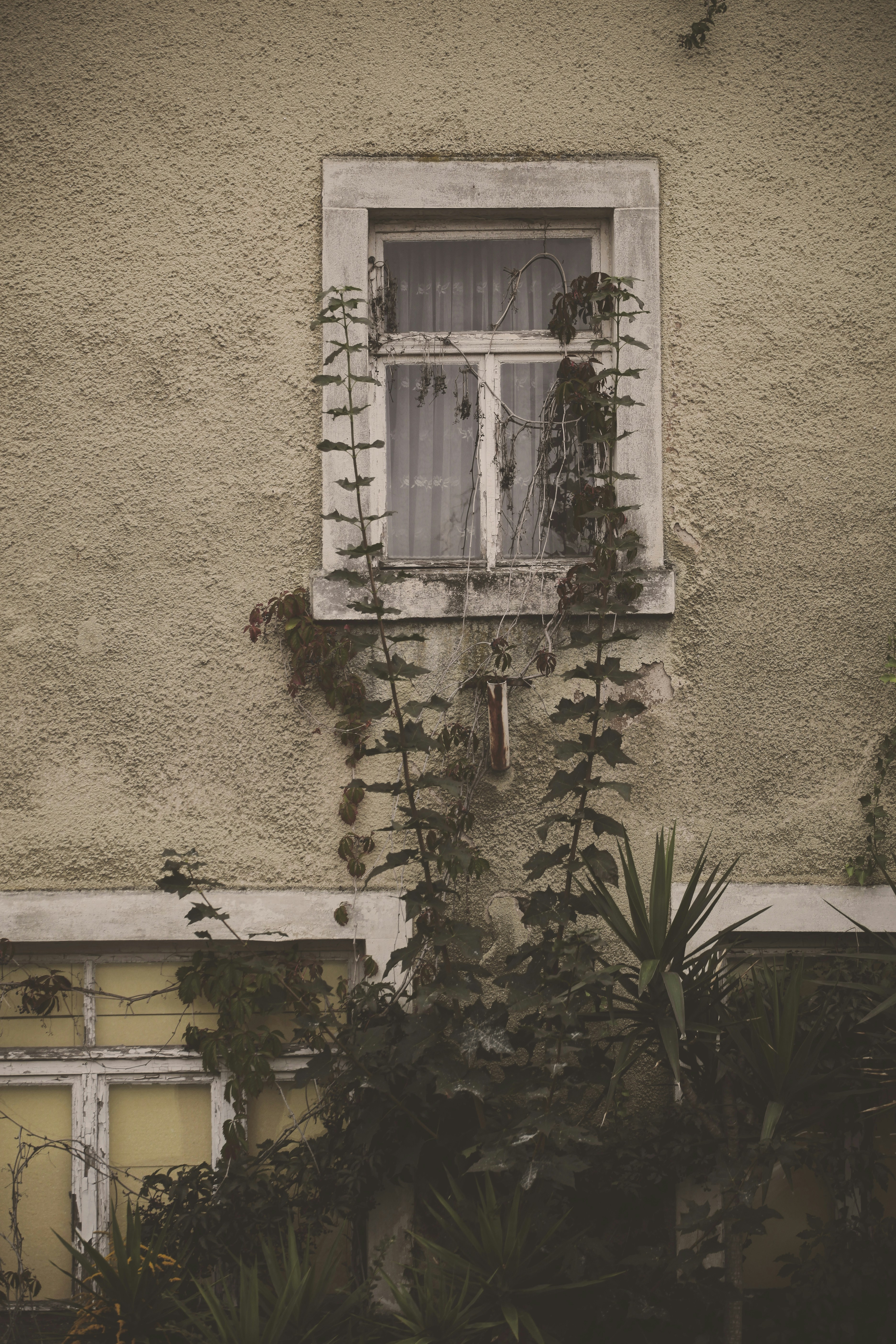 Photo by quadratmedia