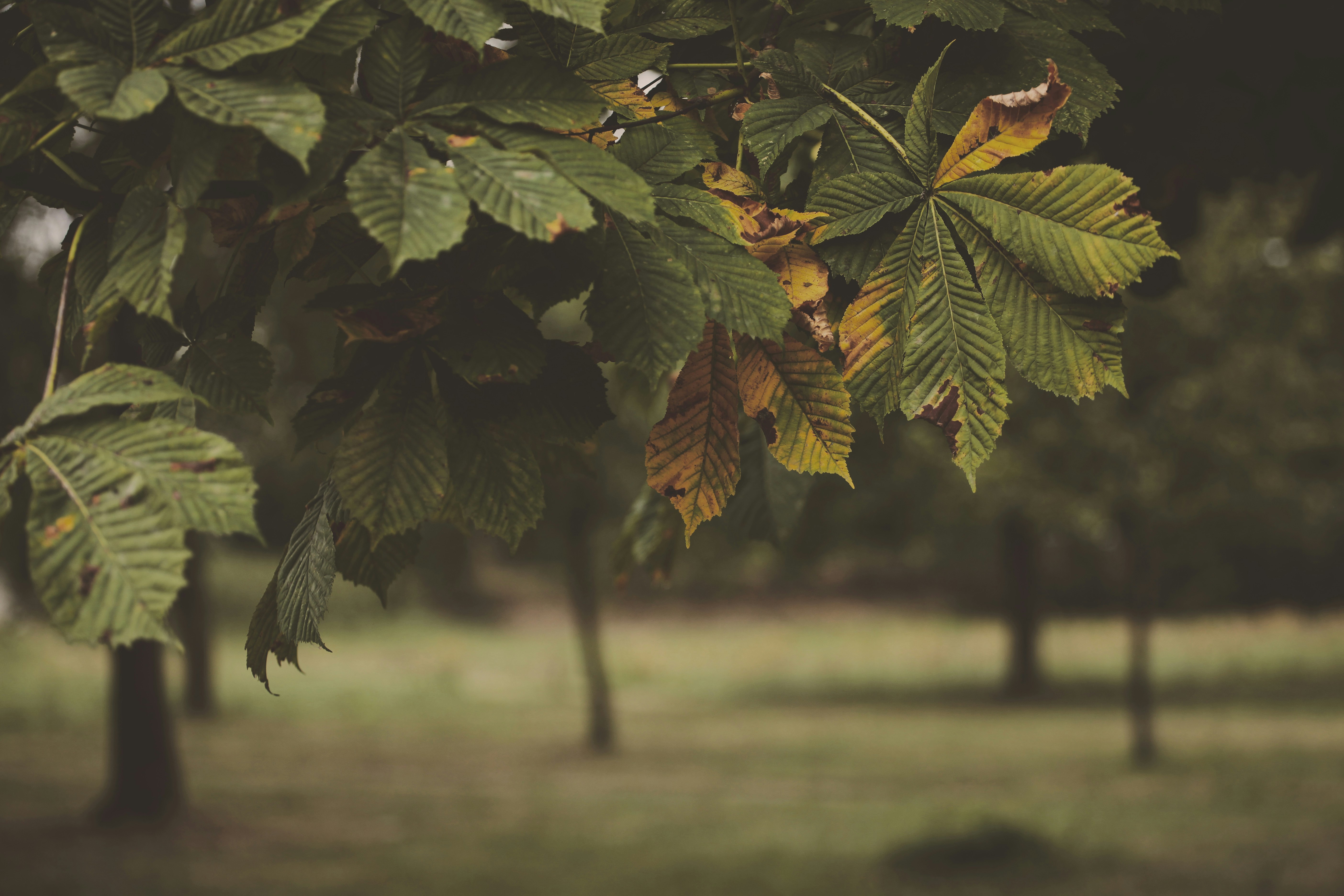 Photo by quadratmedia