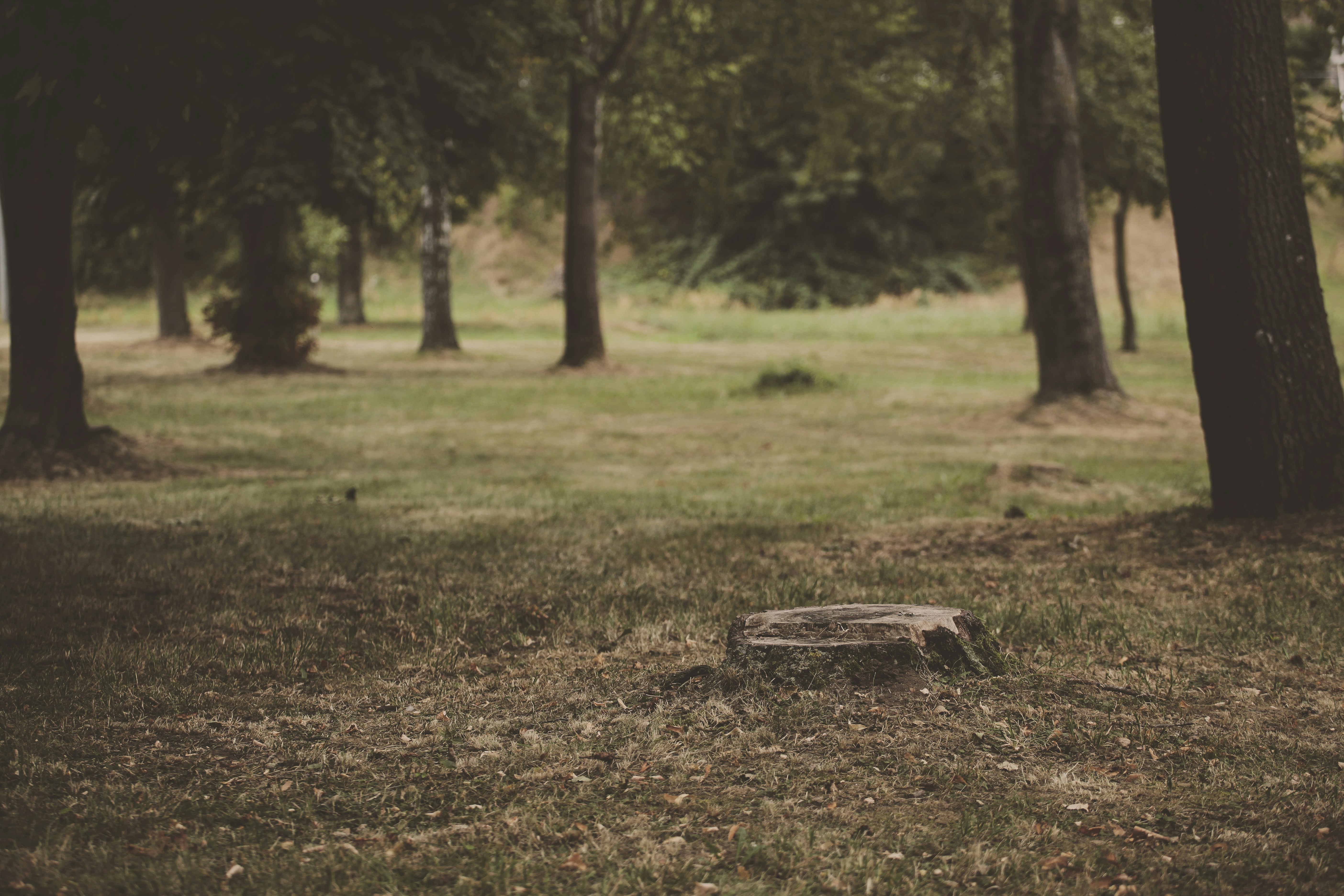 Photo by quadratmedia